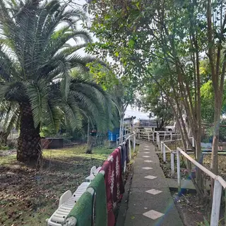 Parcela de agrado en San Rafael, a orilla de carretera. — foto 3