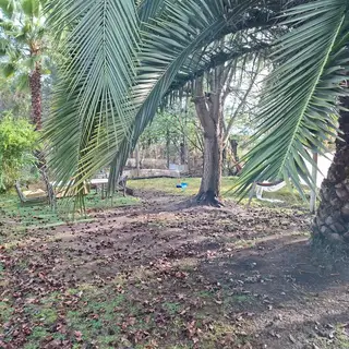 Parcela de agrado en San Rafael, a orilla de carretera. — foto 8